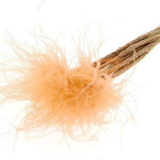 QC Dried Stipa Feather Grass | Colour: Pastel Salmon | Stypha Penata Dried Flowers | Length ± 60 centimetres | 10 plumes per bunch | Per bunch