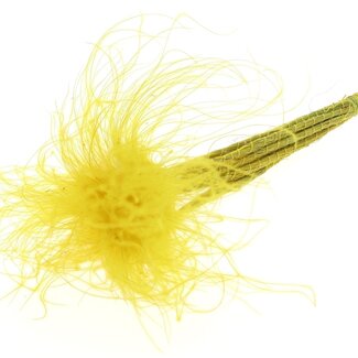 QC Dried Stipa Feather Grass | Colour: Pastel Yellow | Stypha Penata Dried Flowers | Length ± 60 centimetres | 10 plumes per bunch | Per bunch