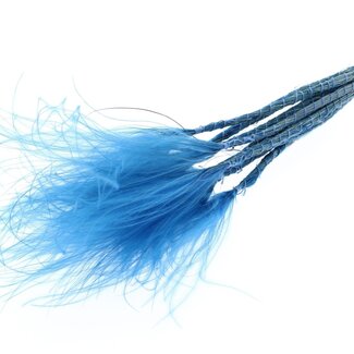 QC Dried Stipa Feather Grass | Colour: Dark Blue | Stypha Penata Dried Flowers | Length ± 60 centimetres | 10 plumes per bunch | Per bunch