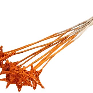 QC Rattan Lata Star on stick | Colour: Orange | Flat pick | Length ± 50 centimetre | 10 picks per bunch