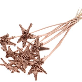 QC Rattan Lata Star on stick | Colour: Copper-coloured | Flat pick | Length ± 50 centimeter | 10 picks per bunch