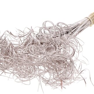 QC Dried Palm Leaf Nerve | Colour: Champagne-coloured | Curly Ting Ting | Length ± 70 centimetre | 3 twigs per tuft | 33 tufts per bunch | Per bunch