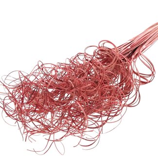 QC Dried Palm Leaf Vein | Curly Ting Ting | Colour: Red | Length ± 70 centimetres | 3 twigs per bunch | 33 bunches per bouquet | Per bouquet