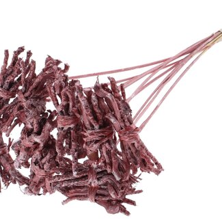 QC Decorative Coco Rose Posy on Stick | Colour: Metallic Red | Coco Rose Posy Stick | Stick length ± 50 centimetres | 10 sticks per bunch