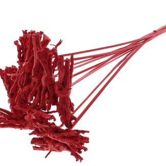 QC Dekoratives Coco Rose Sträußchen auf Stab | Farbe: Rot | Coco Rose Posy Einstecker | Länge Einstecker ± 50 Zentimeter | 10 Einstecker pro Bund