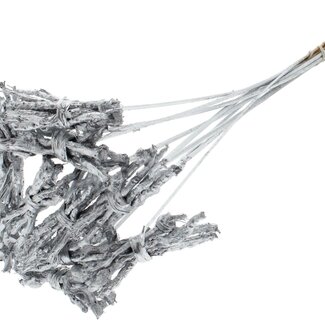 QC Decorative Coco Rose Posy on Stick | Colour: Silver | Coco Rose Posy Stick | Stick Length ± 50 centimetres | 10 sticks per bunch
