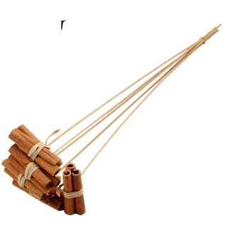 QC Dried fruit Cinnamon stick Bouquet on stem | Colour: Natural Brown | 3 cinnamon sticks per bundle | Cinnamon stick length 8 centimeter | Stem pick length ± 50 centimeter | 5 stem picks per bunch