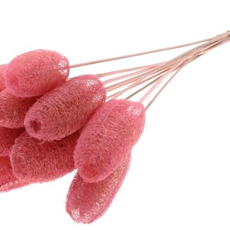 QC Mini Loofah Sponge on stick | Colour: Light Pink | Loofah Stick | Length ± 50 centimetres | 10 sticks per bunch