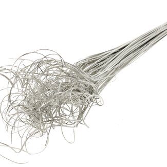 QC Dried Palm Leaf Vein | Curly Ting Ting | Colour: Platinum | Length ± 70 centimetres | 100 stems per bunch | Per bunch