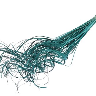 QC Dried Palm Leaf Vein | Curly Ting Ting | Colour: Turquoise | Length ± 70 centimetres | 100 stems per bunch | Per bunch