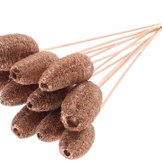 QC Mini Loofah Sponge on stick | Colour: Copper | Loofah Plant Stake | Length ± 50 centimetres | 10 stakes per bunch