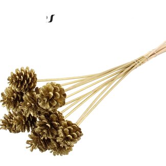 QC Pinecone on stick | Colour: Gold with Glitter | Diameter 5 - 7 centimetres | Length ± 50 centimetres | 10 picks per bunch