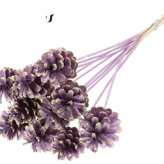 QC Pine cone on stick | Colour: Metallic Pink and Gold Tipped | Diameter 5 - 7 centimetres | Length ± 50 centimetres | 10 picks per bunch