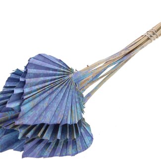 QC Dried Palm Spear | Colour: Multicoloured Light Blue | Palm Leaves in Spear Shape | Length ± 50 centimetres | 10 stems per bunch | Per bunch