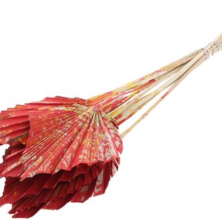 QC Dried Palm Spear | Colour: Multicoloured Red | Spear-Shaped Palm Leaves | Length ± 50 centimetres | 10 stems per bunch | Per bunch