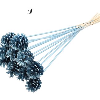 QC Pine cone on stick | Colour: Metallic Blue | Diameter 5 - 7 centimetres | Length ± 50 centimetres | 10 picks per bunch