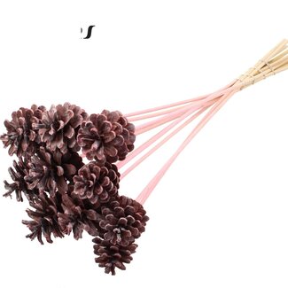 QC Pine cone on stick | Colour: Frosted Pink | Diameter 5 - 7 centimetres | Length ± 50 centimetres | 10 picks per bunch