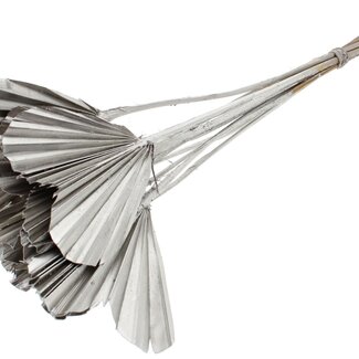 QC Getrocknetes Palm Spear Herz | Farbe: Platinfarben | Palmblätter in Herzform | Länge ± 45 Zentimeter | 10 Stiele pro Bund | Pro Bund