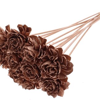 QC Shola Dahlia on stem | Colour: Copper-coloured | Shola Dhalya | Diameter 6 centimetre | Length ± 50 centimetre | 10 auxiliary picks per bunch | Per bunch