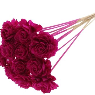 QC Shola Dahlia on stem | Colour: Lilac-coloured | Shola Dhalya | Diameter 6 centimetre | Length ± 50 centimetre | 10 extra picks per bunch | Per bunch