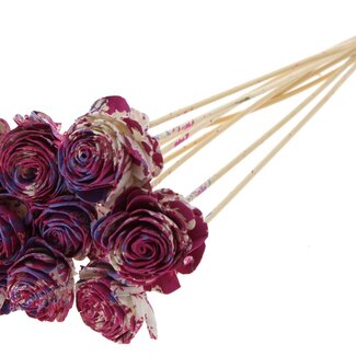 QC Shola Rose on stem | Colour: Multicoloured Cherry-coloured Milk purple | Shola Beauty Rose | Diameter 6 centimeter | Length ± 50 centimeter | 10 picks per bunch | Per bunch