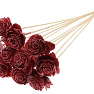 QC Shola Rose with wax on stem | Colour: Bordeaux red | Shola Beauty Rose | Diameter 6 centimetre | Length ± 50 centimetre | 10 picks per bunch | Per bunch