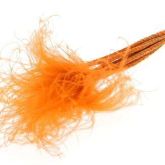 QC Dried Stipa Feather Grass | Colour: Pastel Orange | Stypha Penata Dried Flowers | Length ± 60 centimetres | 10 plumes per bunch | Per bunch