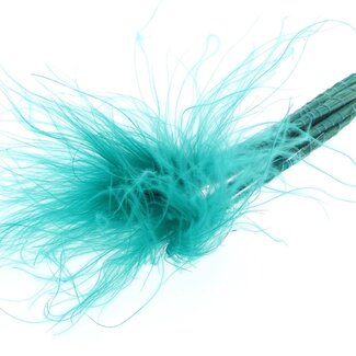 QC Dried Stipa Feather Grass | Colour: Turquoise | Stypha Penata Dried Flowers | Length ± 60 centimetres | 10 plumes per bunch | Per bunch