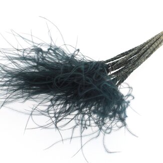 QC Dried Stipa Feather Grass | Colour: Black | Stypha Penata Dried Flowers | Length ± 60 centimetres | 10 plumes per bunch | Per bunch