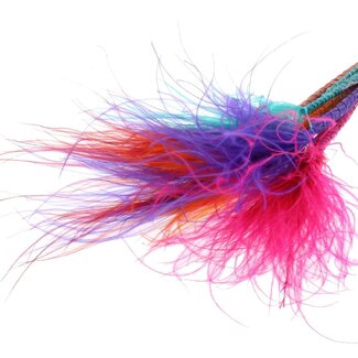 QC Dried Stipa Feather Grass "Colourful 4" | Colour: Mixed Colours | Stypha Penata Dried Flowers | Length ± 60 centimetres | 10 plumes per bunch | Per bunch