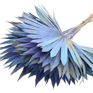 QC Dried Palm Sun Spear | Colour: Multicoloured Light Blue | Fan-shaped Palm Leaves | Length ± 50 centimetres | 10 stems per bunch | Per bunch
