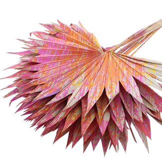 QC Dried Palm Sun Spear | Colour: Multicoloured Cherry | Fan-shaped Palm Leaves | Length ± 50 centimetres | 10 stems per bunch | Per bunch
