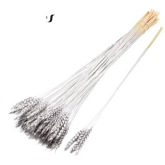 QC Getrockneter Weizen | Farbe: Silberfarben | Triticum Trockenblumen | Länge ± 55 Zentimeter | 3 Zweige pro Bündel | 25 Bündel pro Strauß | Pro Strauß