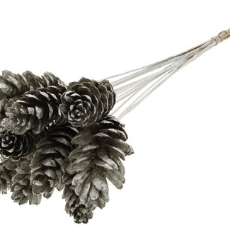 QC Strobus Pine Cone on Stick | Colour: Platinum | Pine Cone Stick | Length ± 50 centimetres | 10 sticks per bunch