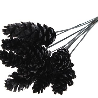 QC Strobus Pine Cone on Stick | Colour: Black | Pine Cone Insert Stick | Length ± 50 centimetres | 10 insert sticks per bunch