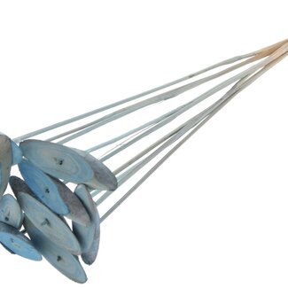 QC Oval Wooden Disc on Stick | Colour: Frosted Light Blue | Wooden Disc Stick | Diameter 5 - 7 centimetres | Length ± 50 centimetres | 10 sticks per bunch | Per bunch