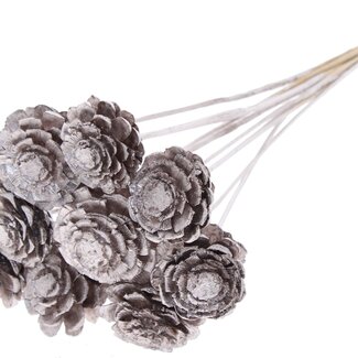 QC Half Pine Cone on Stick | Colour: Champagne | Diameter 5 - 7 centimetres | Length ± 50 centimetres | 10 picks per bunch