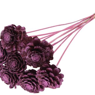 QC Half Pine Cone on Stick | Colour: Metallic Pink | Diameter 5 - 7 centimetres | Length ± 50 centimetres | 10 picks per bunch