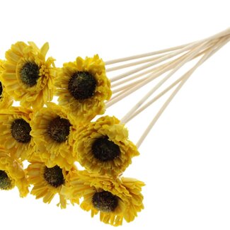 QC Shola Daisy Sunflower with wax on stick | Colour: Yellow | Shola Daisy Sunflower | Diameter 6 centimeter | Length ± 50 centimeter | 10 picks per bunch | Per bunch