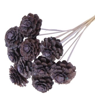 QC Half Pine Cone on Stick | Colour: Frosted Milka Purple | Diameter 5 - 7 centimetres | Length ± 50 centimetres | 10 picks per bunch