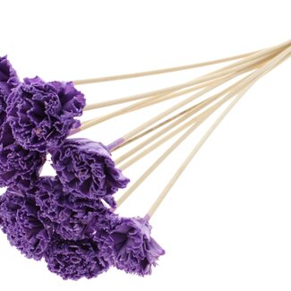 QC Shola Karnish Flower with wax on stick | Colour: Milky purple | Diameter 6 centimetre | Length ± 50 centimetre | 10 flower picks per bunch | Per bunch