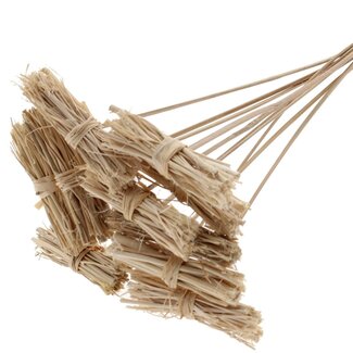 QC White Lady Posy on Stick | Colour: Natural Light Brown | White Lady Posy Stick | Length ± 50 centimetres | 10 sticks per bunch