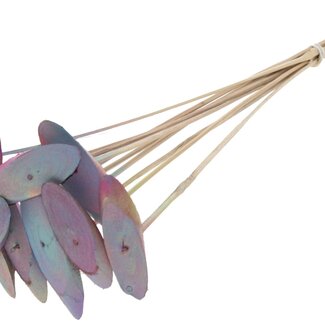 QC Oval Wooden Disc on Stick | Colour: Gradient Pink | Wooden Disc Stick | Diameter 5 - 7 centimetres | Length ± 50 centimetres | 10 sticks per bunch | Per bunch