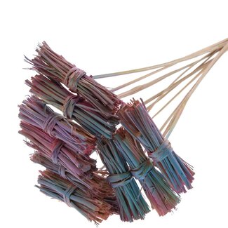 QC White Lady Posy on Stick | Colour: Gradient Pink | White Lady Posy Stick | Length ± 50 centimetres | 10 sticks per bunch
