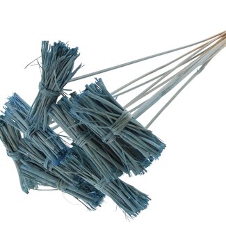 QC White Lady Posy on Stick | Colour: Frosted Light Blue | White Lady Posy Stick | Length ± 50 centimetres | 10 sticks per bunch