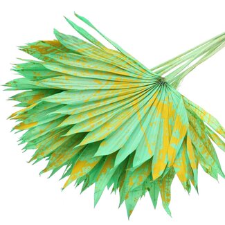 QC Dried Palm Sun Spear | Colour: Speckled Mint Yellow | Fan-shaped Palm Leaves | Length ± 50 centimetres | 10 stems per bunch | Per bunch