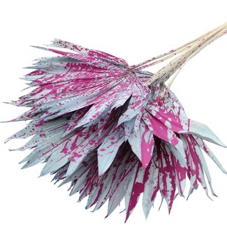 QC Dried Palm Sun Spear | Colour: Speckled Light Blue Cherry | Fan-shaped Palm Leaves | Length ± 50 centimetres | 10 stems per bunch | Per bunch