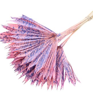 QC Getrocknete Palm Sun Spear | Farbe: Gesprenkeltes Rosa Milkalila | Palmblätter in Fächerform | Länge ± 50 Zentimeter | 10 Zweige pro Bund | Pro Bund