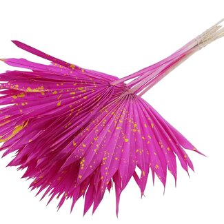 QC Getrocknete Palm Sun Spear | Farbe: Gesprenkelt Lila Gelb | Palmblätter in Fächerform | Länge ± 50 Zentimeter | 10 Zweige pro Bund | Pro Bund