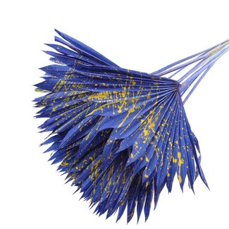 QC Dried Palm Sun Spear | Colour: Speckled Blue Yellow | Fan-Shaped Palm Leaves | Length ± 50 centimetres | 10 stems per bunch | Per bunch